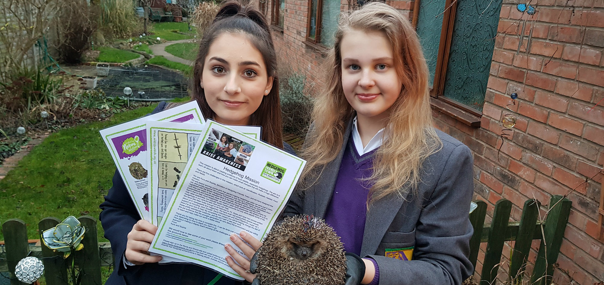 Hedgehog Friendly Town